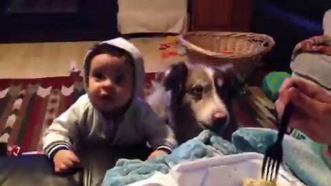 Parents are teaching their son how to pronounce the word 'mommy', but they don't know that the dog learned it first