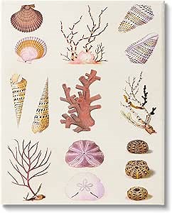 Stupell Industries Mixed Nautical Sea Life Corals Shells Canvas Wall Art, Design by Vision Studio