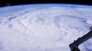 2K views · 100 reactions | It’s World Environment Day! Canadian...