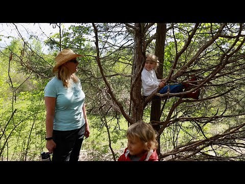 "Nature's Classroom" - Forest kindergartens in the Tennessee valley