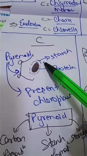 # 3 NCERT rapid shorts 💯 genetics | principle of inheritance and variation| #shorts #reels #neet
