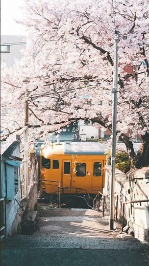 友〜旅立ちの時〜 #歌詞動画 #歌詞付き #ゆず #卒業 #入学 #新生活