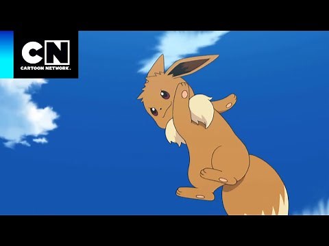 Los mejores momentos de Eeve | Pokémon | Cartoon Network
