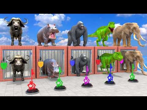 Long Slide Game With Cow Elephant Gorilla Hippopotamus Tiger 3d Animal Game Funny 3d Animals