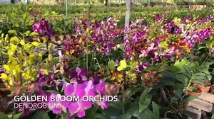 227K views · 3.2K shares | We are currently growing 600,000+...