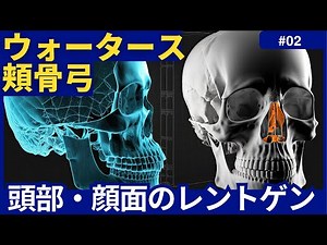 【新人放射線技師、医学生必見！】放射線技師による、レントゲンの撮りかた講座(pert2)～頭部顔面編 座位 鼻骨正面 臥位 両側頬骨軸位～