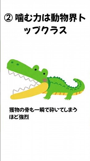 知られざるワニの生態5選 #ワニ #野生動物 #shorts