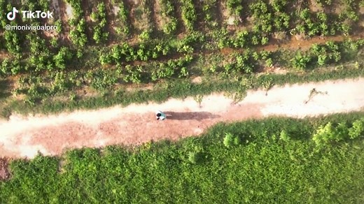 earth zoom effects in adobe after effects. #monivisualpro #zoom #earth #drone