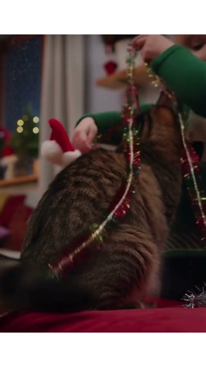Christmas Cat Makeover! 😂✨ Kid Decorates the Family Cat