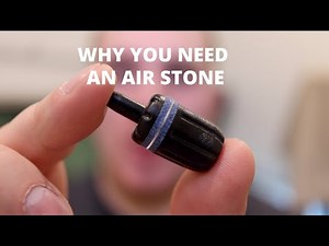 Do You Need An Air Stone In Your Aquarium?