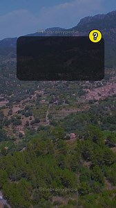 125K views · 2.7K reactions | General Knowledge Trivia Quiz. Interesting Facts You Should Know. . . #thebranypedia #triviachallenge #quiz #quizvideos #QuizTime #TriviaTime #triviaquiz #quizgame #generalknowledge #quizzes #DidYouKnow #moreyouknow | Brainypedia | Facebook