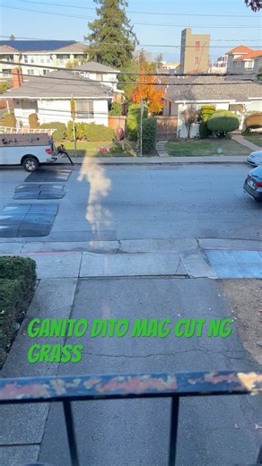 Cutting Grass using Lawn Mower