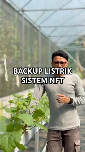 Cara menanam melon hidroponik sistem nft - backup listrik #melonhidroponik #kebunmelon #hidroponik