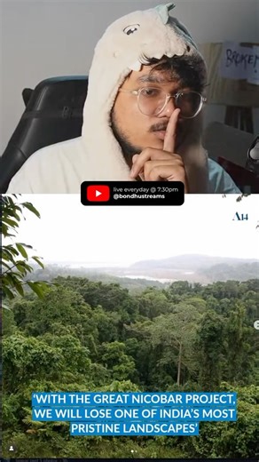 bondhustreams on Instagram: "gos nelage, flyover laage. #bondhustreams #trees #india"