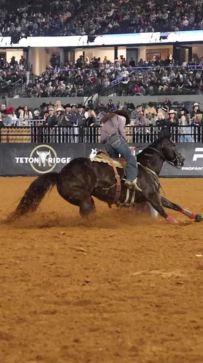 Get to know futurity trainer, multi-million dollar rider and 2024 The American Rodeo barrel racing winner Brandon Cullins. #barrelhorsenews #TheAmerican #brandoncullins #fyp #rodeo #barrelracing #barrelhorse #horsetrainer