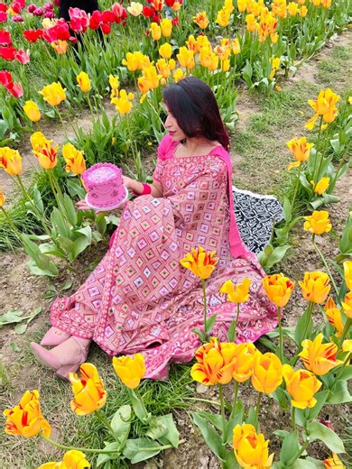 12K views · 223 reactions | This saree is just dream Beautiful muslin Jamdani pattern embroidered saree 朗 Taking pre order for this Beautiful saree. Inbox us for pricing and other details. #sareefashion #muslin #jamdanisaree #pink #tulips | OSHIN | Facebook