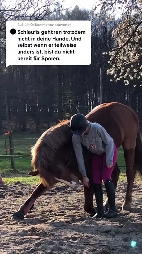 @....hl0 antworten denkt ihr irgendwie alle nt mehr nach was ihr kommentiert oder was da los😂🤝 #fy #deloyg #fyp #horse #haha #lustig #jump