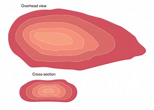What is carryover cooking and how does it affect cooking? [2025] | QAQooking.wiki