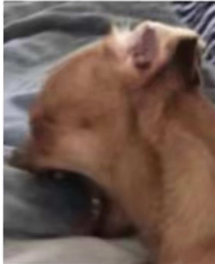 Regaining the Talking Stage with Your Ex