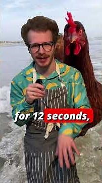 You Probably Don't Know Don't Know This About Eggs...