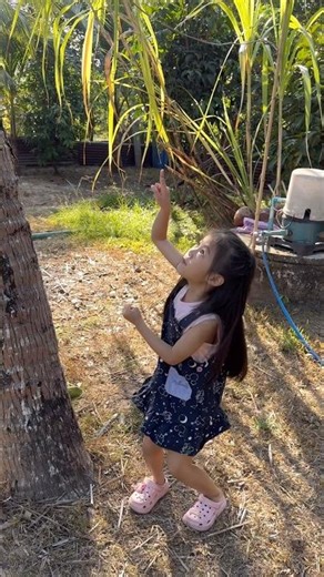 น้องมิลิน | มะพร้าว‼️🩷 #น้องมิลิน #เด็กน่ารัก #โบ๊ะบ๊ะshorts #ตลก