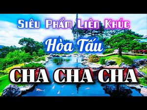 LK Nhạc Không Lời Cha Cha Cha Hay Nhất 2026 - Lk Hòa Tấu Cha Cha Cha Test Loa Cực Êm | Organ Channel
