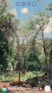 Make cinematic-looking videos using just your phone. FiLMiC Pro gives you complete manual control. | Filmic Pro | Facebook