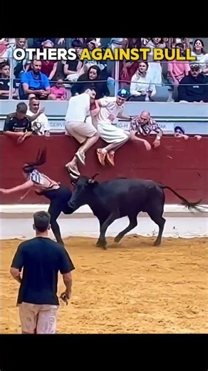 Others against bull 🤡 vs Last Guy.. 🗿 #respect #viralvideo