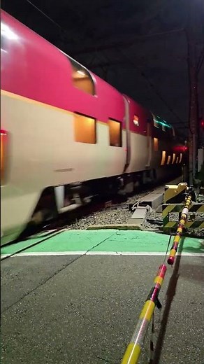 【東海道線 下り 285系 寝台特急 サンライズ出雲・サンライズ瀬戸 出雲市行・高松行】【京浜東北線 南行 E233系1000番台】#東海道線 #285系 #寝台特急 #サンライズ出雲#サンライズ瀬戸