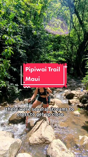 My favorite hike yet! Bamboo forest and waterfalls on this Pipiwai Trail in Maui make this a great stop on the scenic road to Hana. this is a must in Maui! #mauihawaii #maui #pipiwaitrail #mauihiking #hiketok #waimokufalls #thingstodoinmaui #hikingadventures #travelblogger #traveltiktok #traveltiktoker #hawaii #hikinginhawaii #hawaiihikes #mauihikes #roadtohana #travelmaui #mauitravel #bambooforest #bambooforestmaui #rainforest