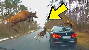 Unexpected Moments Caught On Camera! | Aliens UFO Caught on Camera