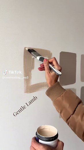 Choosing Between Valspar Paint Samples: Gentle Lamb vs Goose Feathers