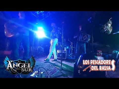 EL ÁNGEL DEL SUR - moneda sin valor