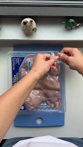 TikTok banned my video…. You can use gemini because chatgpt won’t work for everyone. Don’t want to use AI? Search up your state’s senator phone number and say: Hi, my name is [Your Name] and I am a constituent living in [____], zip code [00000]. I am calling to urge the Senator to vote NO on H.R. 7147, the DHS Appropriations Act for 2026. Please log my opposition for the Senator’s records. I am deeply concerned that this bill strips away essential humanitarian protections. I specifically oppose: