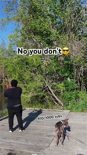 You can’t use a 200lb tree for bait😂😂😂. #fishing #bassfishing