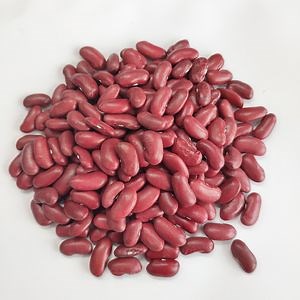 [Hot Item] Pulses 2025 Crop British Red Kidney Bean