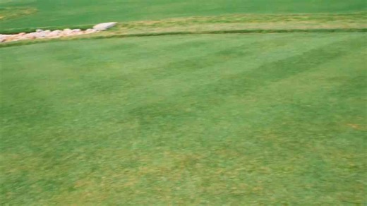 8D binaural audio while mowing the lawn (use headphones)