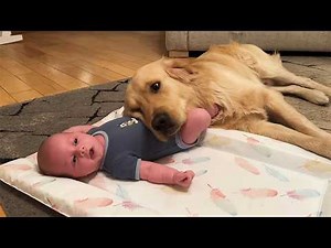Ultimate Baby & Dog Moments: The Sweetest And Cutest Duo - Funny Babies Video