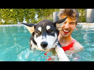 Teaching my Puppy How to Swim!