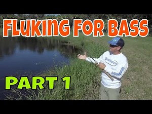 Fluking for Bass | How to us a fluke lure for bass fishing Part 1