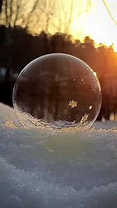 462K views · 13K reactions | Freezing soap bubble. | Cookbook Love | Facebook