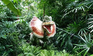 5 Dinosaurs that Lived in Connecticut (And Where to See Fossils Today)