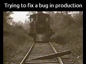 Fixing a bug with a bug :D | Software Engineers