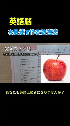 【英語脳】最高の単語勉強法 #英会話海外留学 #スラング #英会話 #海外一人旅 #英語初心者