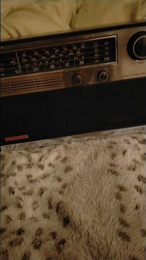 bruit interférences radio.