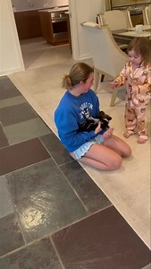 1.6M views · 55K reactions |   “ Here’s the big surprise “   Little Diva the #biewerterrier meeting her family for the first time 凉 Enjoy that little bundle of joy. Merry Christmas and happy holidays Betty&Co  | Betty Teacup Puppies | Facebook