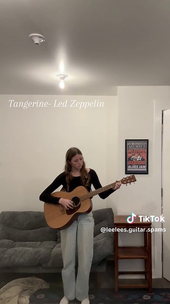 Echa de menos una guitarra de 12 cuerdas para 'Tangerine'
