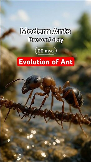 Evolution of Ants 🐜! In 30 seconds