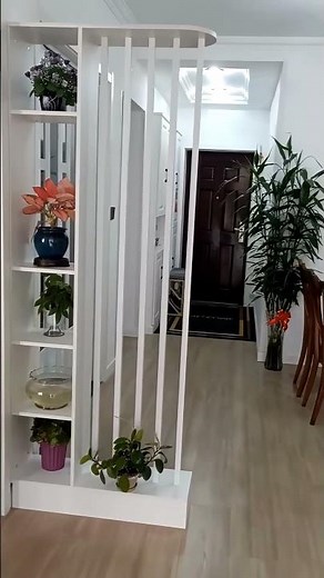 Multi-Layer Screen & Partition Rack! #Storage #HomeDecor #Shorts