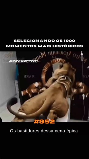 Momentos Históricos🎥 on Instagram: "CLIQUE EM SEGUIR👆🏻👆🏻👆🏻 A icônica gravação da logo da MGM (Metro-Goldwyn-Mayer) ficou marcada pelo uso de um leão de verdade, algo raro e impressionante para a época. Desde 1916, o estúdio utilizou vários leões reais para representar sua marca, sendo o mais famoso deles o Leo, introduzido oficialmente em 1957 e usado até hoje. As filmagens eram feitas em estúdios fechados, com o animal posicionado diante de um fundo neutro, enquanto o enquadramento simul
